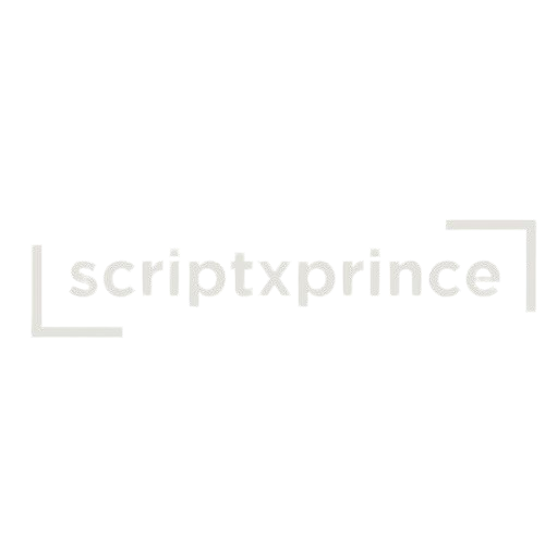 Portfolio preview of Prince Kumar – freelance web developer